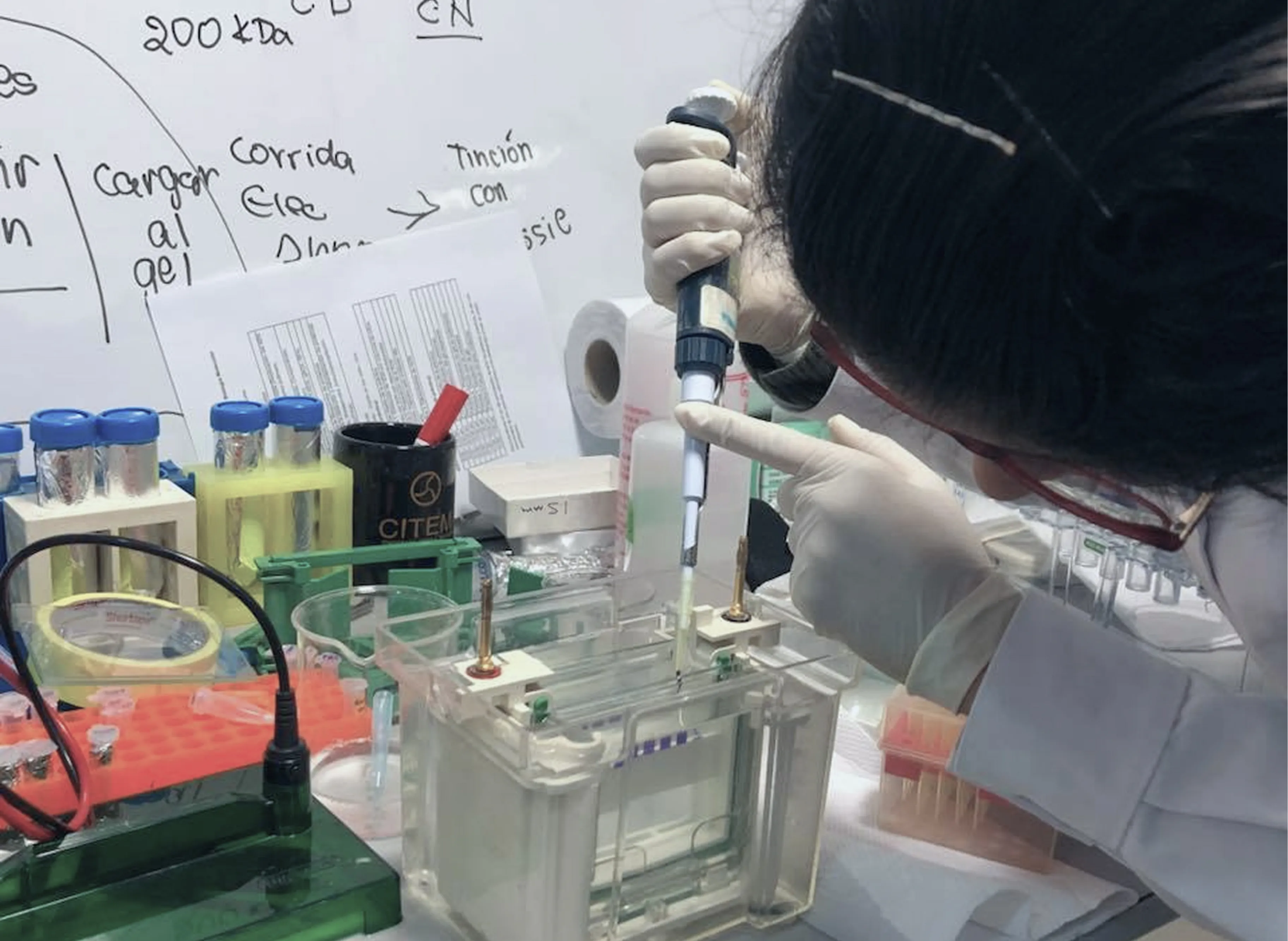 Profesionales en biotecnología 4