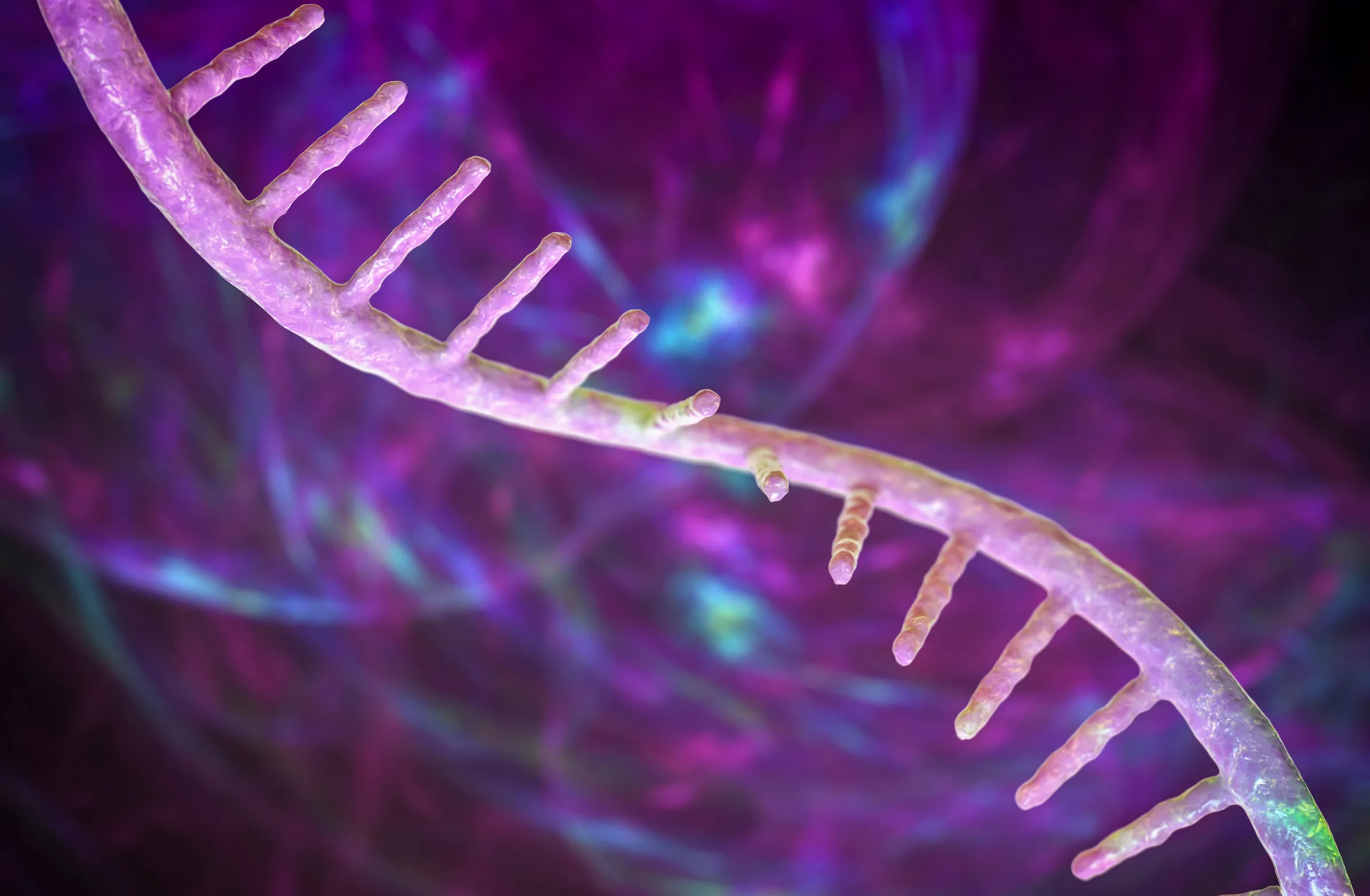 EXPLORACIÓN Y ANÁLISIS CON BASES DE DATOS BIOLÓGICAS